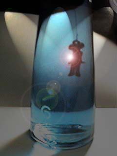 Jamiroquai bottle